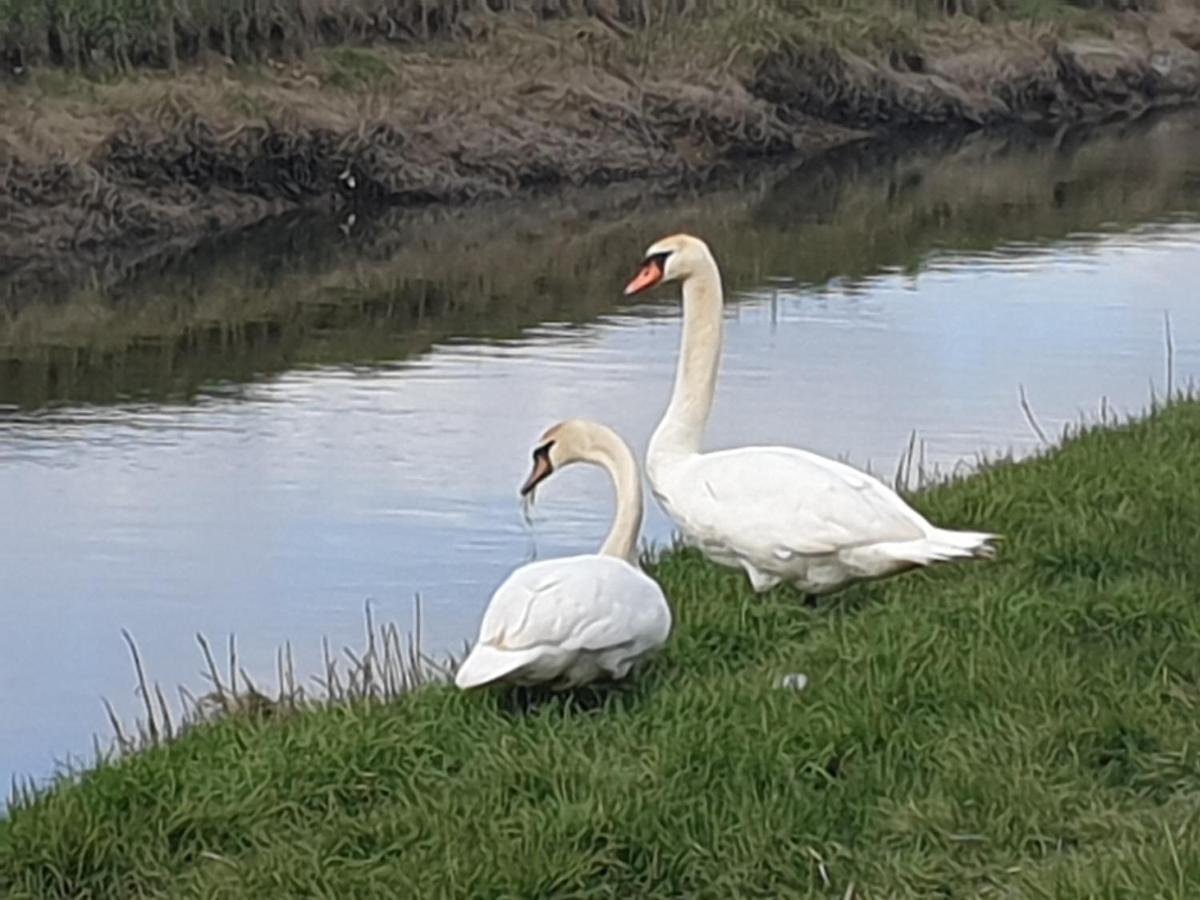 Delightful Cottage On The River Adur Close To Brighton & The Downs No Dogs Sorry Upper Beeding Extérieur photo